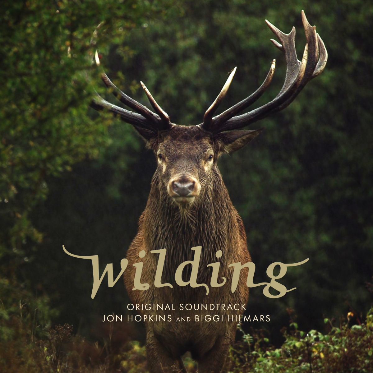 My score for the documentary Wilding is out now
