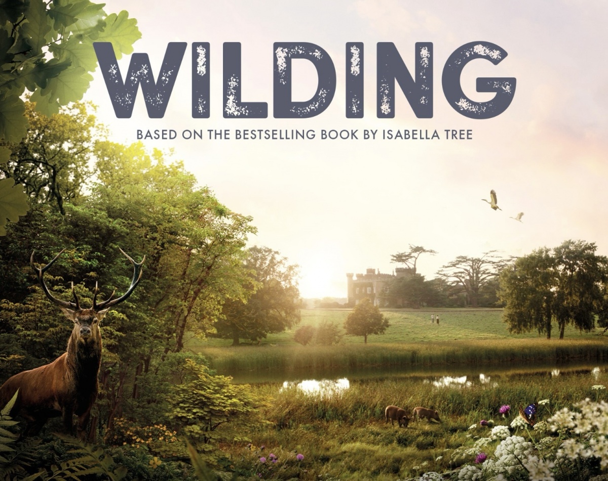 I had the pleasure of co-scoring this beautiful film about the rewilding movement